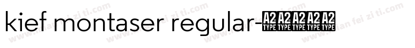 kief montaser regular字体转换